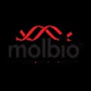 Molbio Diagnostics Limited