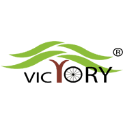 Victory Electric Vehicles International Limited